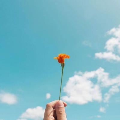 米乐app下载官网